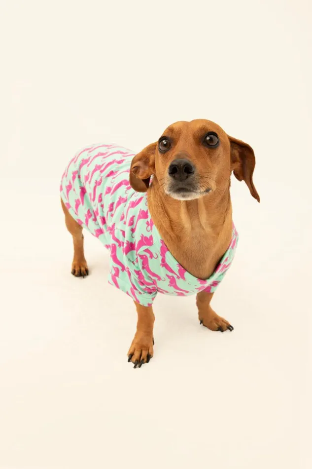 SHOP Trina Turk PETS DOG WALK JERSEY PET PAJAMA SHIRT