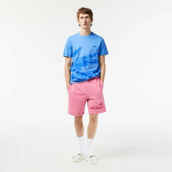 TShirts Men Lacoste Mens Regular Fit Organic Cotton Jersey TShirt Ethereal Blue L99