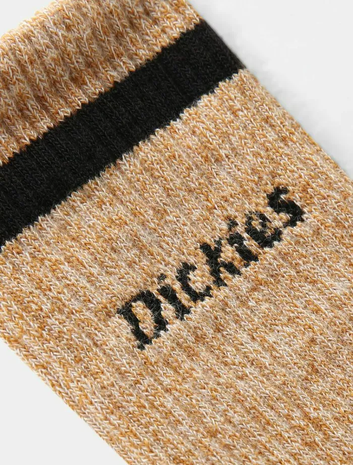WomenMen Socks Dickies Bettles Socks Pumpk Spice